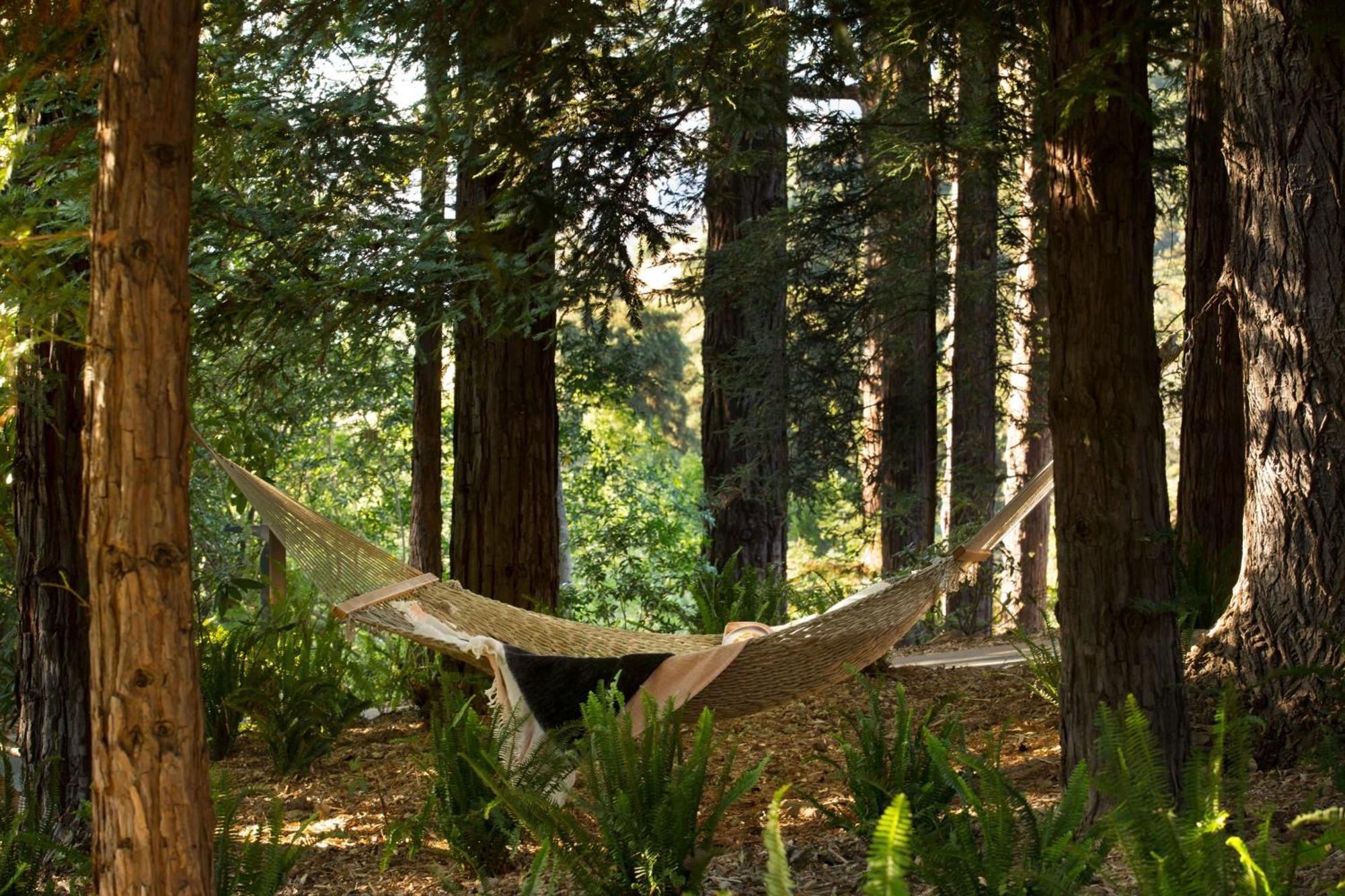 Alila Ventana Big Sur - Inclusive Resort (Adults Only) Eksteriør billede